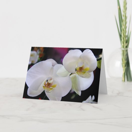Carte Simplement orchidées (Devant)