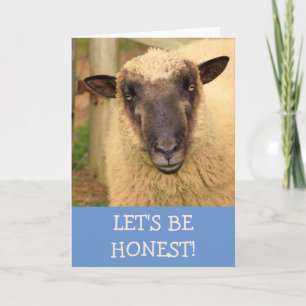 Carte Sincere Honest Sheep Get Well