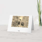 Carte Sincères condoléances - avec roses rouges (Dos)