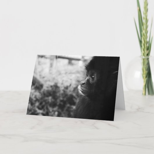 Carte Singe (Devant)