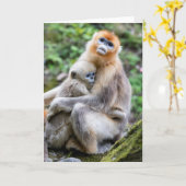 Carte Singe à nez doré avec bébé (Fleur jaune)