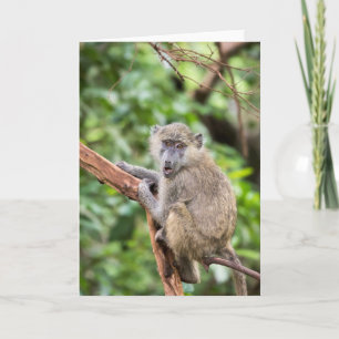 Carte Singe babouin surpris ou choqué dans l'arbre