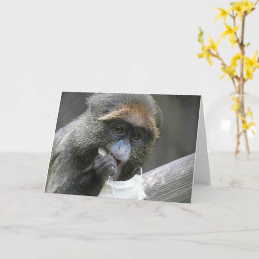 Carte Singe de Brazza (Fleur jaune)