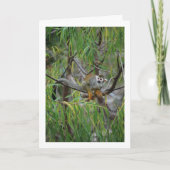 Carte Singe de l'arbre (Devant)