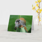 Carte Singe des écureuils Costa Rica (Fleur jaune)