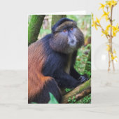 Carte Singe d'or, Rwanda (Fleur jaune)