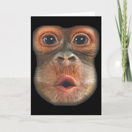 Carte Singe qui souffle le visage du ventre (Devant)