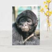 CARTE SINGES (Fleur jaune)