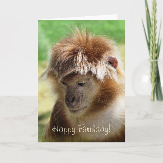 CARTE SINGES (Devant)