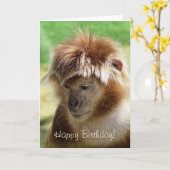 CARTE SINGES (Fleur jaune)