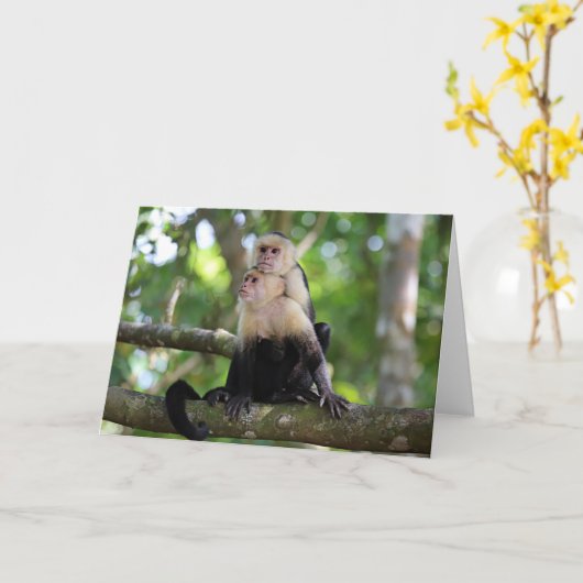 Carte Singes capucins (Fleur jaune)