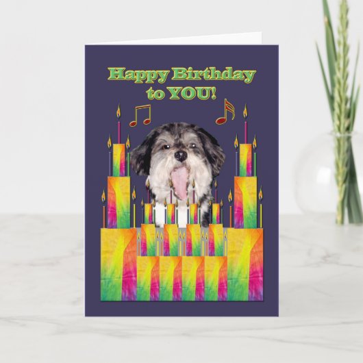Carte Singing de Dog Birthday (Devant)