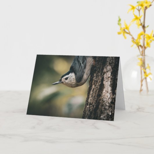 Carte Sittelle (Fleur jaune)