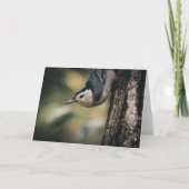 Carte Sittelle (Devant)
