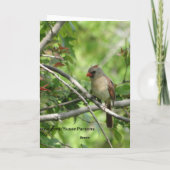 Carte Sittin' Here (Dos)