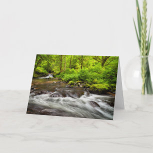 Carte Siuslaw National Forest, Sweet Creek, Oregon