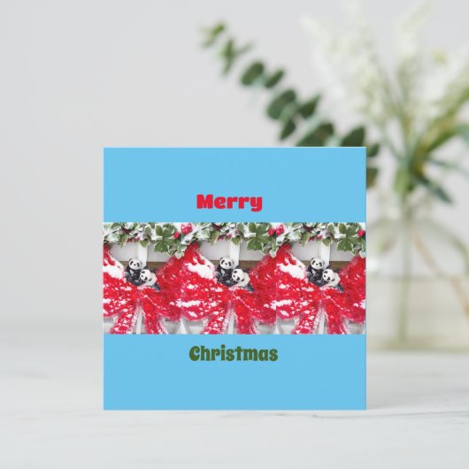 Carte Six Darling Pandas à Noël (Debout devant)