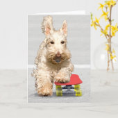Carte Skateboard Scottish Terrier Grey Card (Fleur jaune)