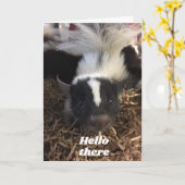 CARTE **SKUNK DIT JEUX ANNIVERSAIRE** (Fleur jaune)