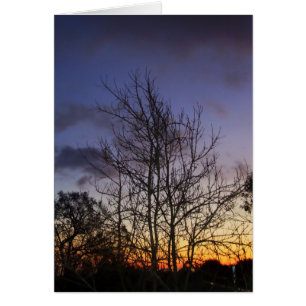 Carte Skyscapes #001