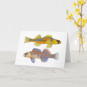 Carte Slackwater et Darters Orange-Throated (Fleur jaune)