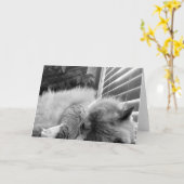 Carte Sleeping Cat, card (Fleur jaune)