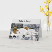 Carte Sleeping Jack Russell Terrier Editable Anniversair (Fleur jaune)