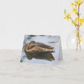 Carte Sleepy Duck Nature Photography Note (Fleur jaune)