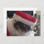 Carte Slim Kitty Père Noël (Devant / Derrière)