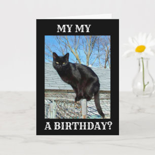 CARTE *SMARTY PANTS BLACK CAT** ANNIVERSAIRE