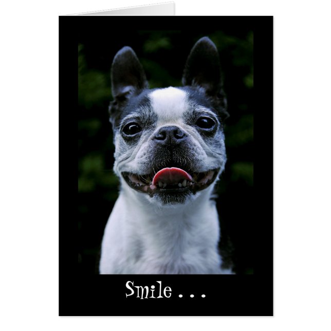 Carte Smile Boston Terrier (Devant)