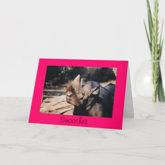 Carte Smooches (Devant)