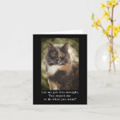 Carte Smug Kitty - Faites Ce Que Vous Voulez? (Fleur jaune)