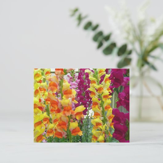 Carte Snapdragons colorés floraux (Debout devant)