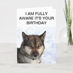 Carte Snarky Siberian Husky Birthday Card