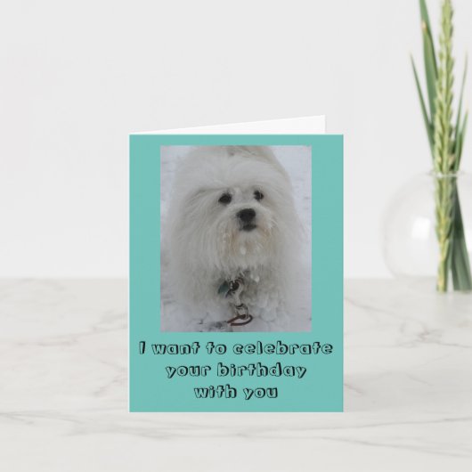 Carte Snow Angels Coton Funny Birthday Card (Devant)