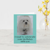 Carte Snow Angels Coton Funny Birthday Card (Fleur jaune)