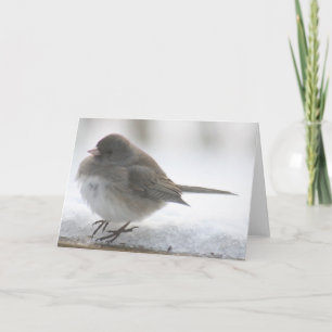 Carte Snow bird