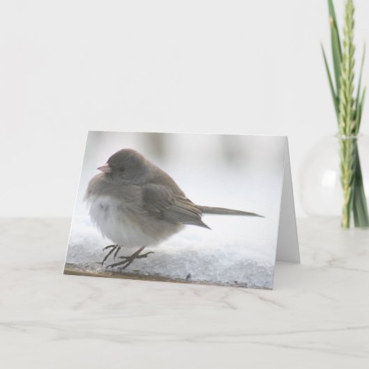 Carte Snow bird (Devant)