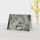 Carte Snow Leopard Close (Fleur jaune)