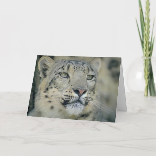 Carte Snow Leopard Close (Devant)