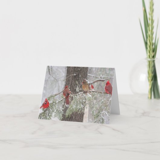 Carte SnowBirds (Devant)