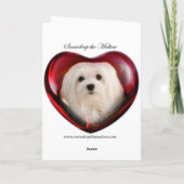 Carte Snowdrop the Maltese Birthday/Greeting Card (Dos)