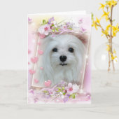 Carte Snowdrop the Maltese Birthday/Greeting Card (Fleur jaune)