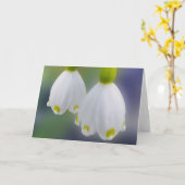 Carte Snowdrops (Fleur jaune)