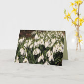 Carte Snowdrops (Fleur jaune)