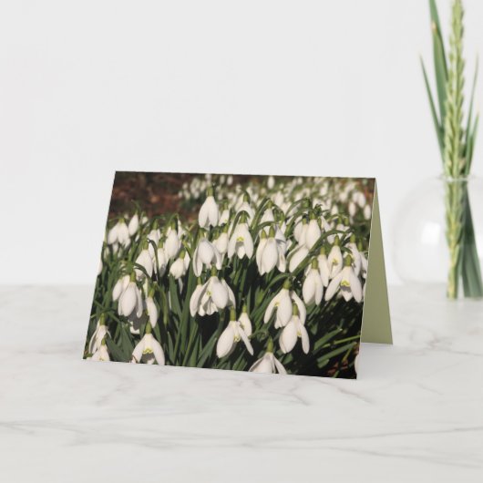 Carte Snowdrops (Devant)