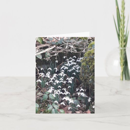 Carte Snowdrops de printemps (Devant)