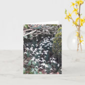 Carte Snowdrops de printemps (Fleur jaune)