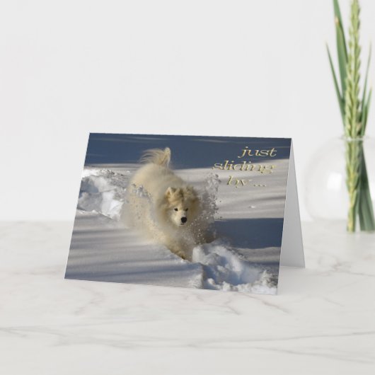 Carte Snowplow Birthday Card (Devant)